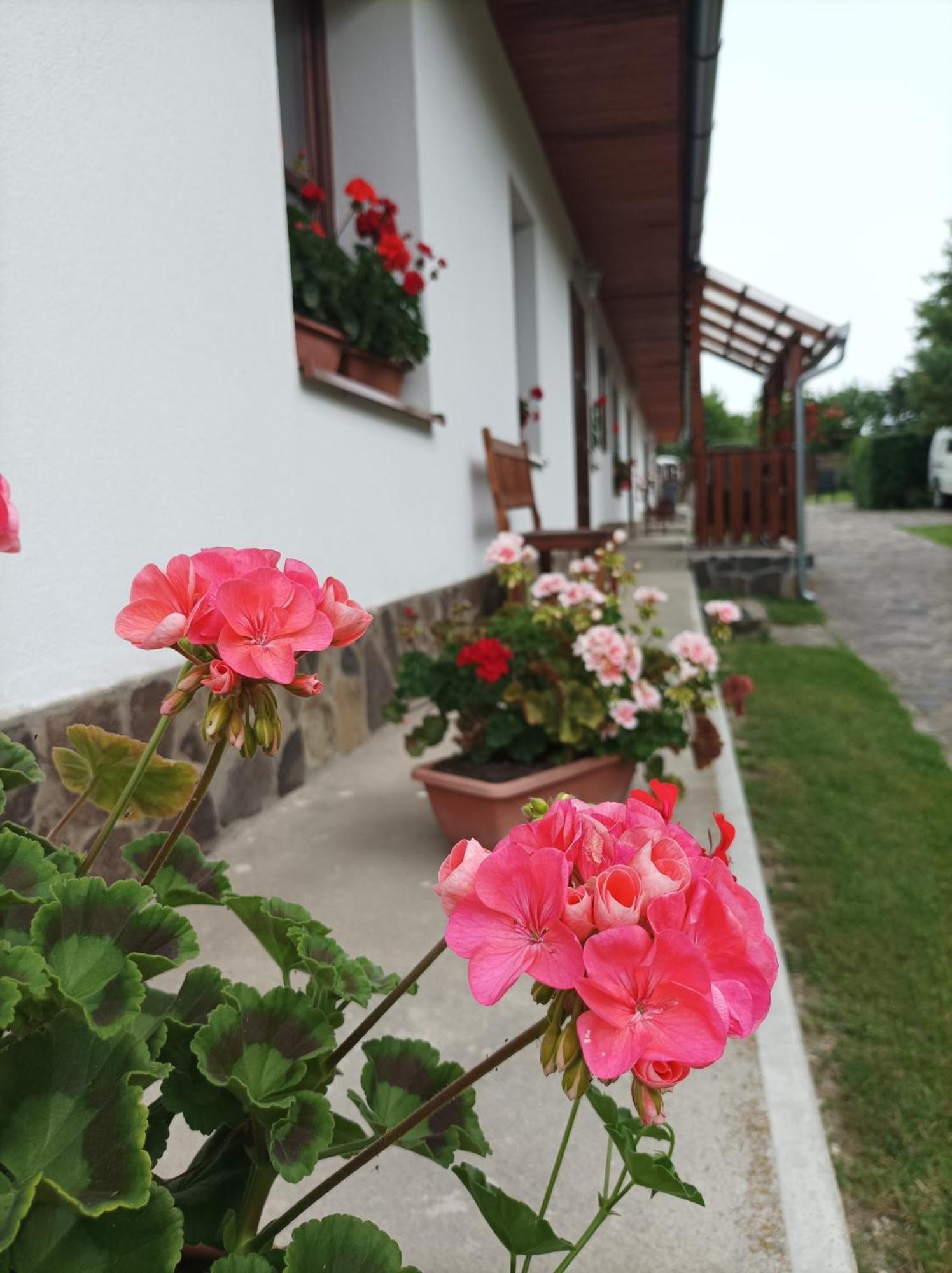 Kemencés Vendégház Mikohaza Esterno foto